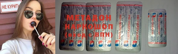 прущие грибы Михайловск