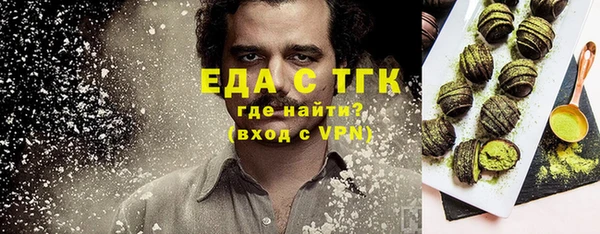 хмурый Новозыбков