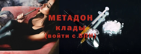 ПСИЛОЦИБИНОВЫЕ ГРИБЫ Горняк