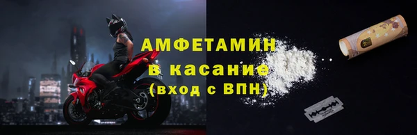 ПСИЛОЦИБИНОВЫЕ ГРИБЫ Горняк