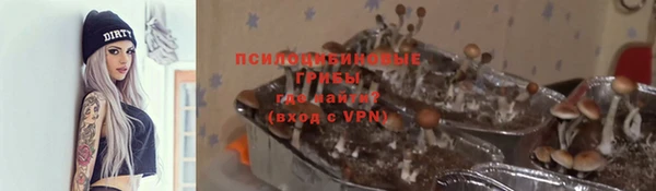 a pvp Горнозаводск