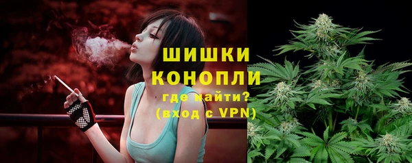 ПСИЛОЦИБИНОВЫЕ ГРИБЫ Горняк