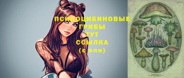 прущие грибы Михайловск